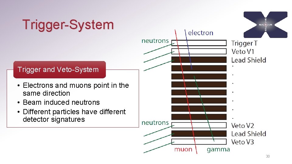 Trigger-System Trigger and Veto-System • Electrons and muons point in the same direction •
