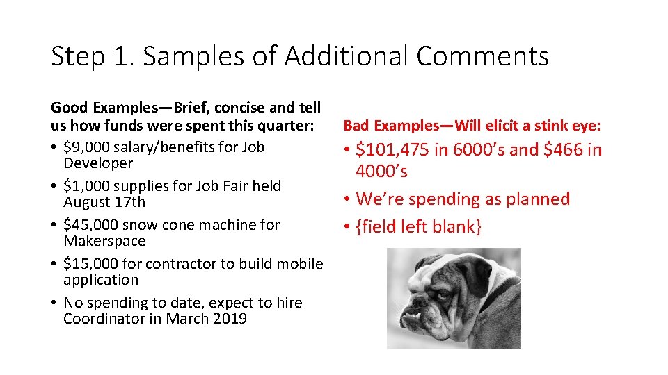 Step 1. Samples of Additional Comments Good Examples—Brief, concise and tell us how funds