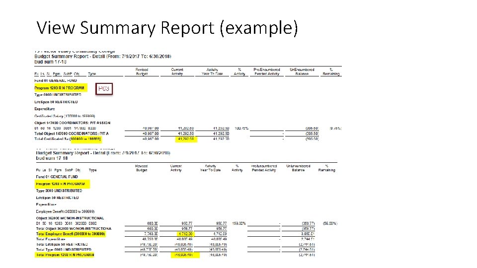 View Summary Report (example) 