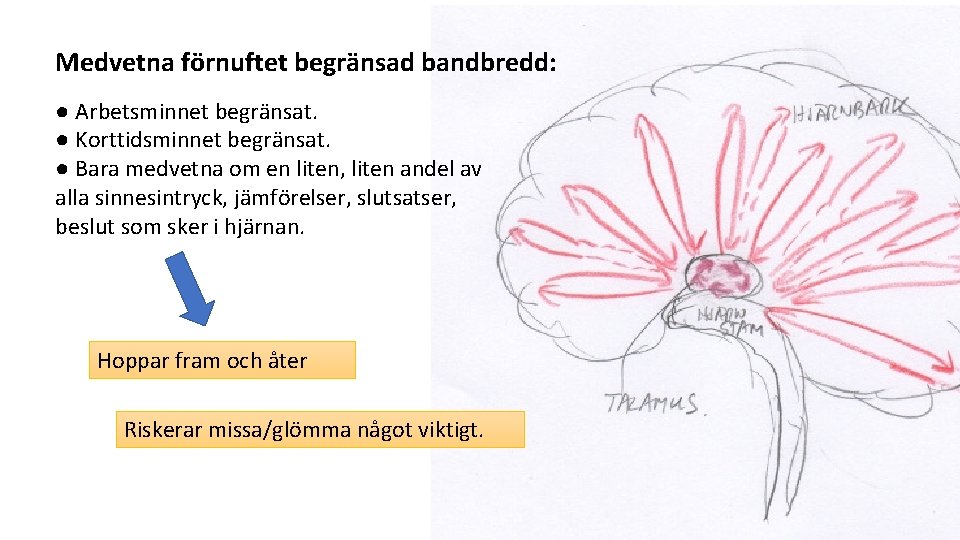 Medvetna förnuftet begränsad bandbredd: ● Arbetsminnet begränsat. ● Korttidsminnet begränsat. ● Bara medvetna om