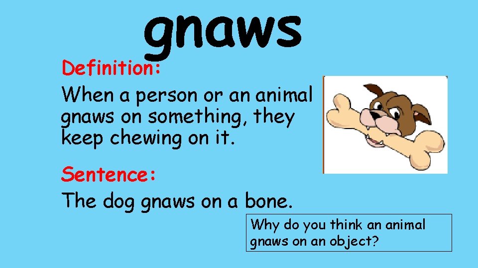 gnaws Definition: When a person or an animal gnaws on something, they keep chewing