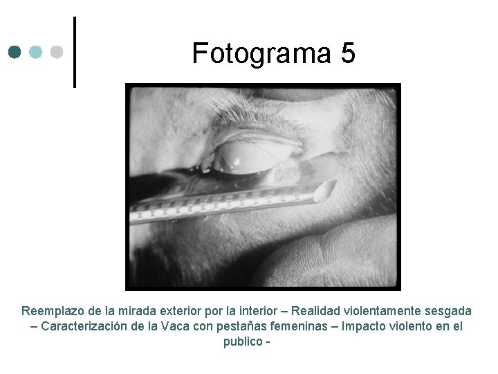 Fotograma 5 Reemplazo de la mirada exterior por la interior – Realidad violentamente sesgada