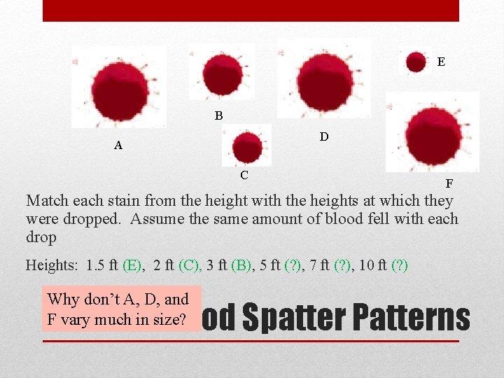 E B D A C F Match each stain from the height with the