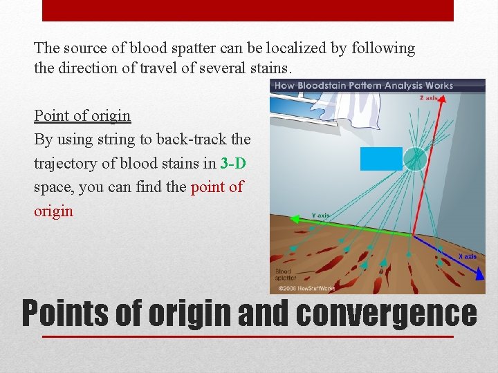 The source of blood spatter can be localized by following the direction of travel