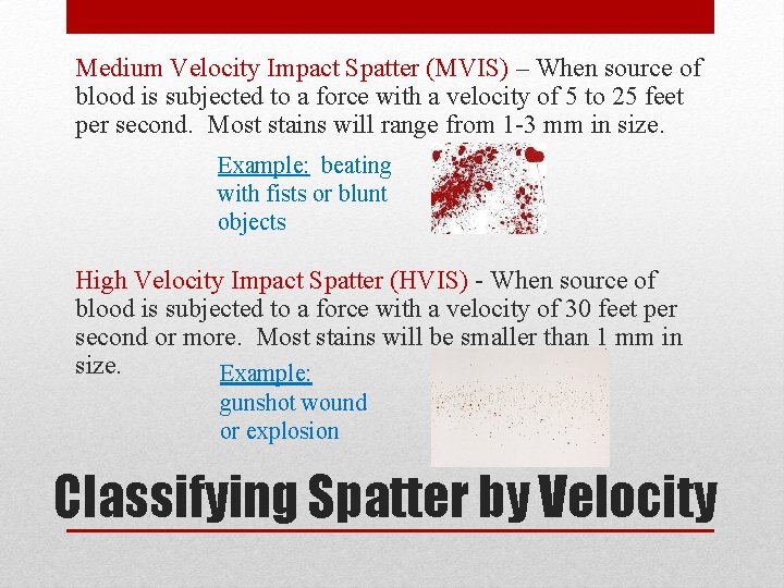 Medium Velocity Impact Spatter (MVIS) – When source of blood is subjected to a