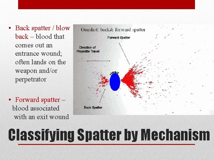  • Back spatter / blow back – blood that comes out an entrance