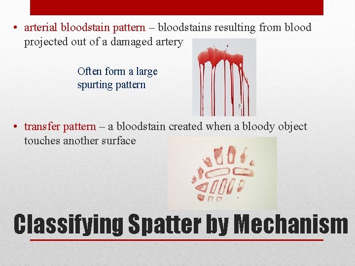  • arterial bloodstain pattern – bloodstains resulting from blood projected out of a