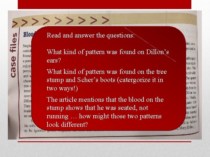 Read answer the questions: What kind of pattern was found on Dillon’s ears? What