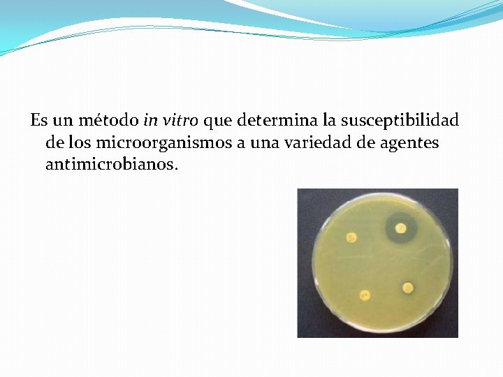 Es un método in vitro que determina la susceptibilidad de los microorganismos a una