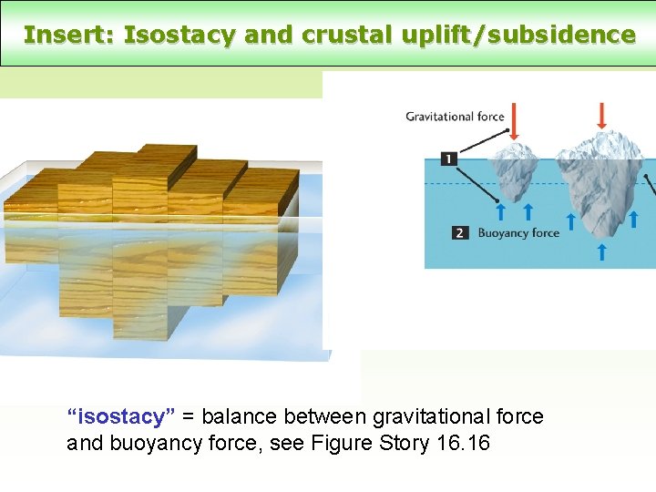 Insert: Isostacy and crustal uplift/subsidence “isostacy” = balance between gravitational force and buoyancy force,