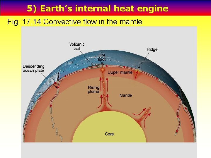 5) Earth’s internal heat engine Fig. 17. 14 Convective flow in the mantle 