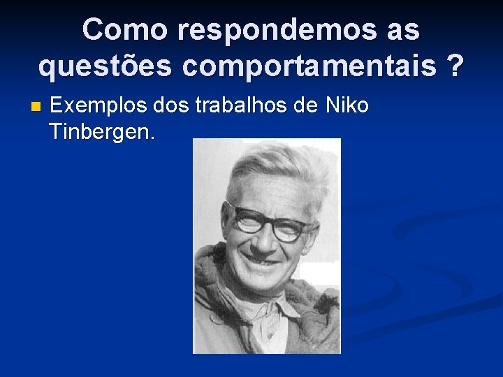 Como respondemos as questões comportamentais ? n Exemplos dos trabalhos de Niko Tinbergen. 