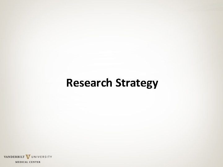 Research Strategy 