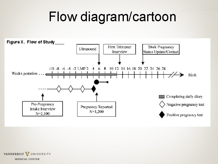 Flow diagram/cartoon Figure X. Flow of Study____ 