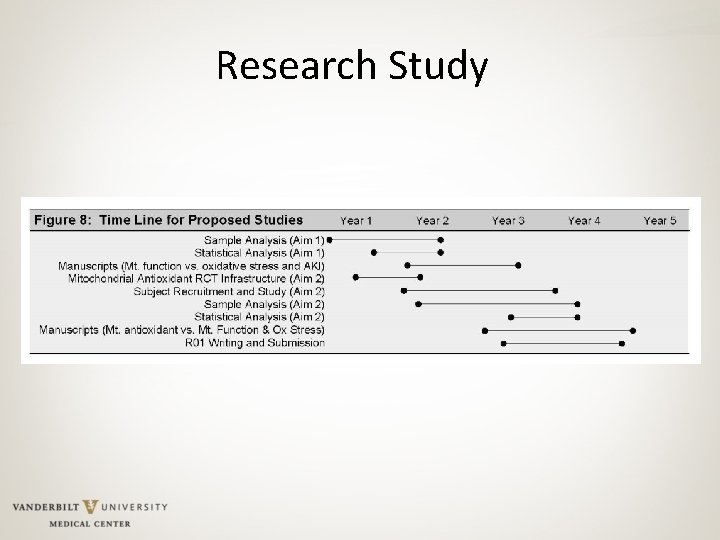 Research Study 