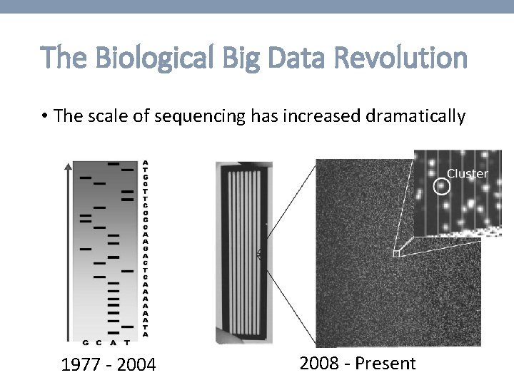 The Biological Big Data Revolution • The scale of sequencing has increased dramatically 1977