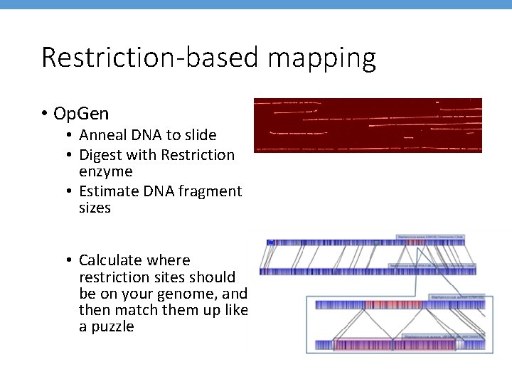 Restriction-based mapping • Op. Gen • Anneal DNA to slide • Digest with Restriction