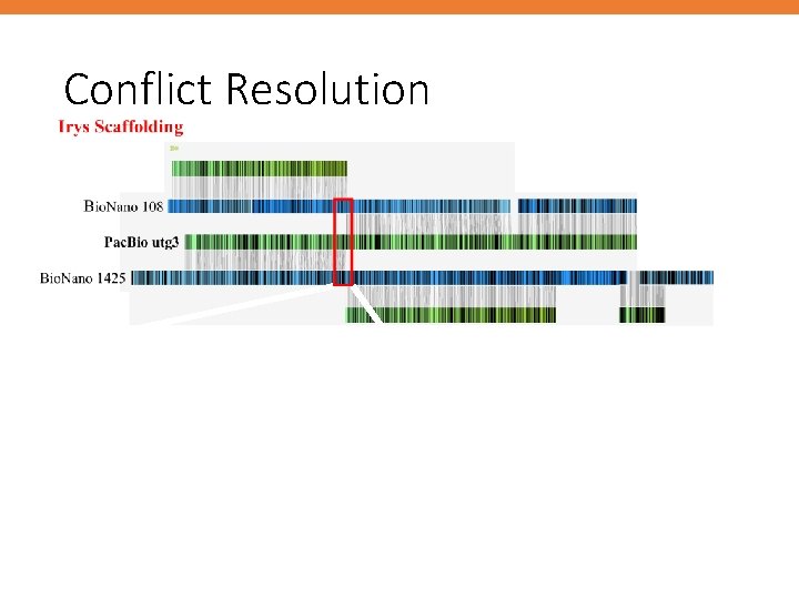 Conflict Resolution 
