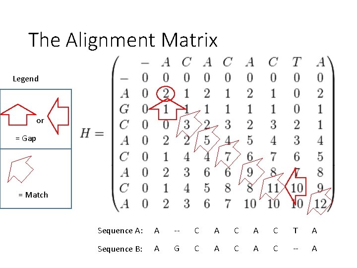 The Alignment Matrix Legend or = Gap = Match Sequence A: A -- C