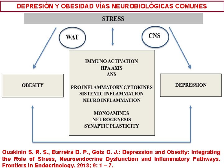 DEPRESIÓN Y OBESIDAD VÍAS NEUROBIOLÓGICAS COMUNES Ouakinin S. R. S. , Barreira D. P.