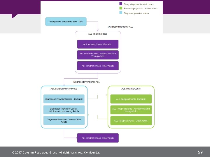 © 2017 Decision Resources Group. All rights reserved. Confidential. 29 