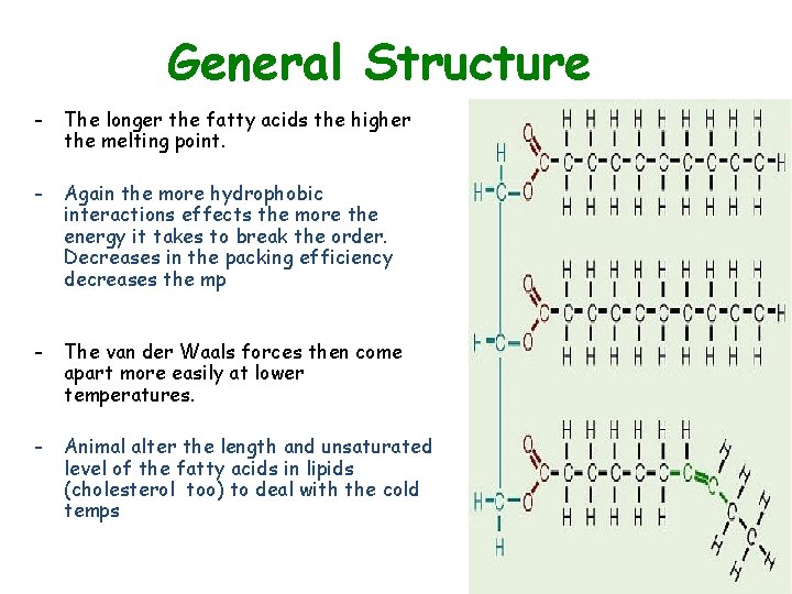 General Structure - The longer the fatty acids the higher the melting point. -