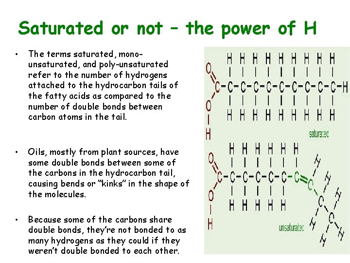 Saturated or not – the power of H • The terms saturated, monounsaturated, and