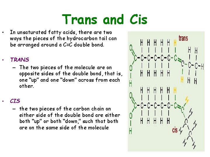 Trans and Cis • In unsaturated fatty acids, there are two ways the pieces