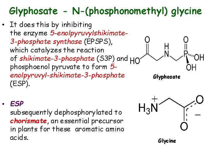 Glyphosate - N-(phosphonomethyl) glycine • It does this by inhibiting the enzyme 5 -enolpyruvylshikimate