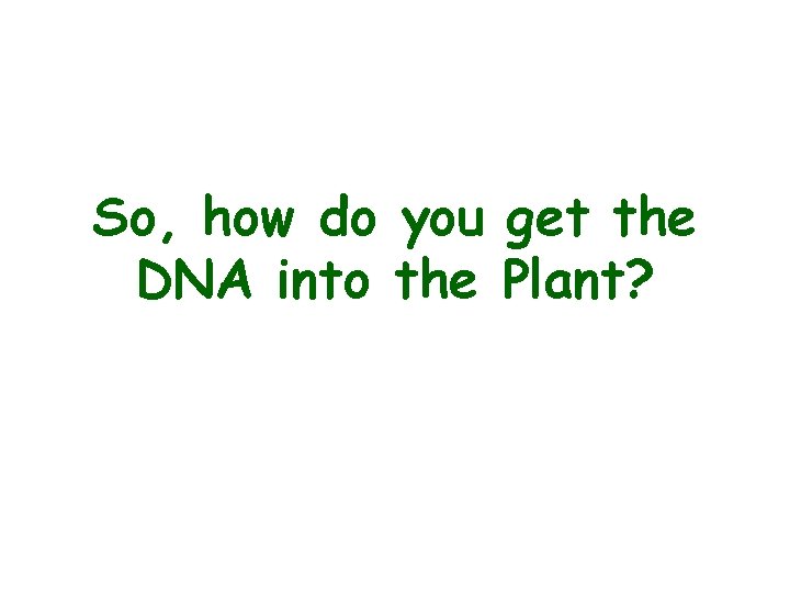 So, how do you get the DNA into the Plant? 