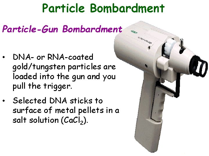 Particle Bombardment Particle-Gun Bombardment • DNA- or RNA-coated gold/tungsten particles are loaded into the