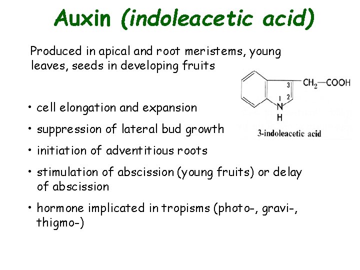 Auxin (indoleacetic acid) Produced in apical and root meristems, young leaves, seeds in developing