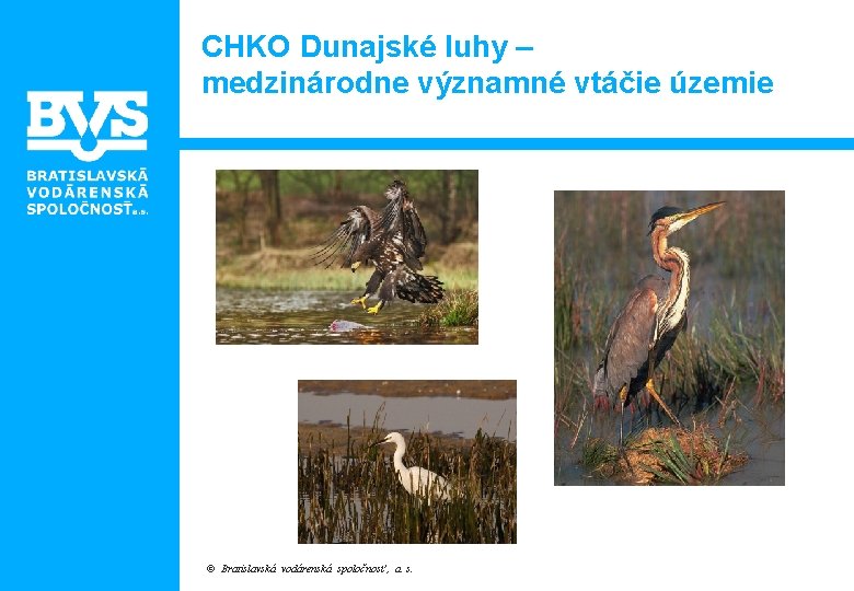 CHKO Dunajské luhy – medzinárodne významné vtáčie územie © Bratislavská vodárenská spoločnosť , a.