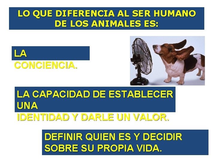 LO QUE DIFERENCIA AL SER HUMANO DE LOS ANIMALES ES: LA CONCIENCIA. LA CAPACIDAD