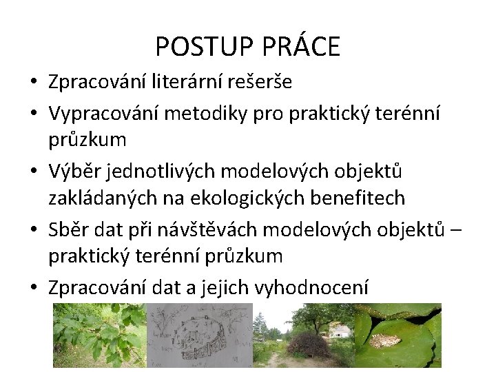 POSTUP PRÁCE • Zpracování literární rešerše • Vypracování metodiky pro praktický terénní průzkum •