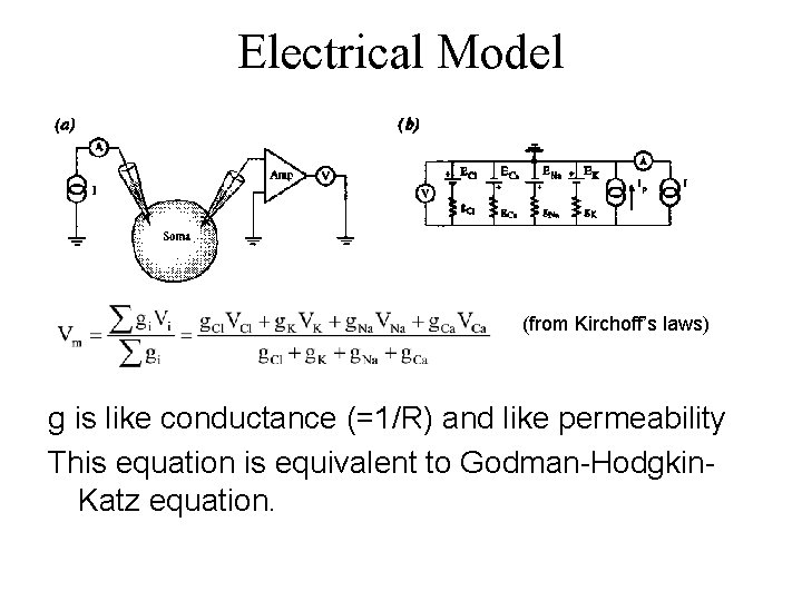 Electrical Model (from Kirchoff’s laws) g is like conductance (=1/R) and like permeability This