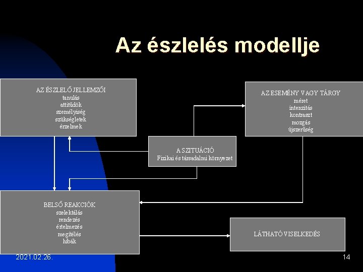 Az észlelés modellje AZ ÉSZLELŐ JELLEMZŐI tanulás attitűdök személyiség szükségletek érzelmek AZ ESEMÉNY VAGY