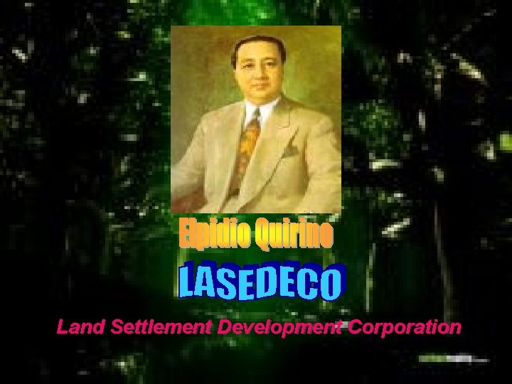 Land Settlement Development Corporation 