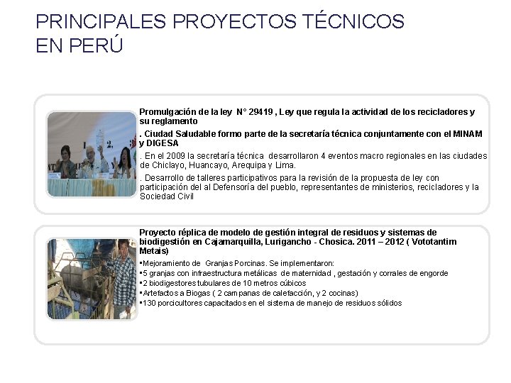 PRINCIPALES PROYECTOS TÉCNICOS EN PERÚ Promulgación de la ley N° 29419 , Ley que