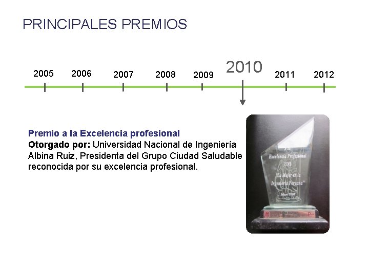 PRINCIPALES PREMIOS 2005 2006 2007 2008 2009 2010 Premio a la Excelencia profesional Otorgado