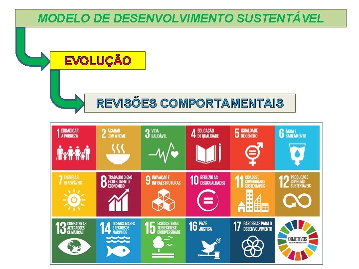 MODELO DE DESENVOLVIMENTO SUSTENTÁVEL EVOLUÇÃO REVISÕES COMPORTAMENTAIS 