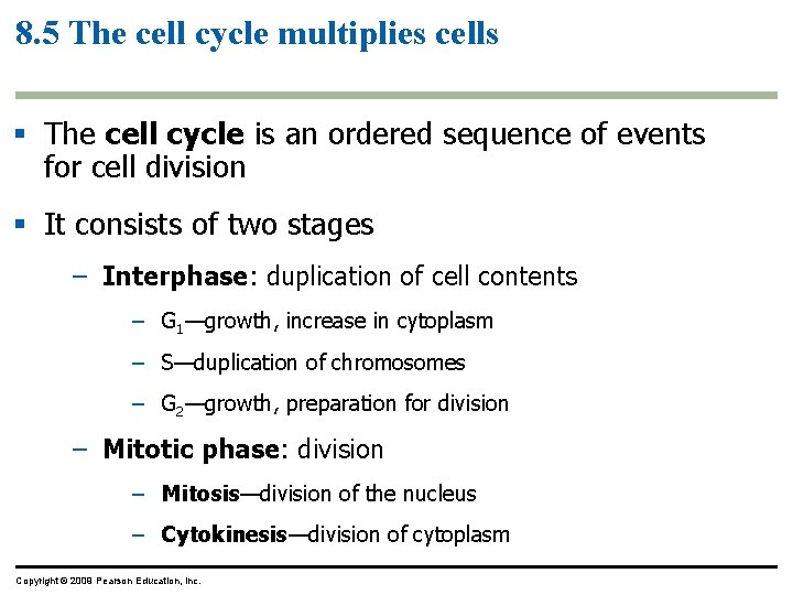 8. 5 The cell cycle multiplies cells § The cell cycle is an ordered