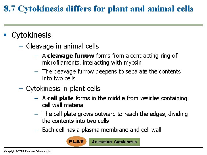 8. 7 Cytokinesis differs for plant and animal cells § Cytokinesis – Cleavage in
