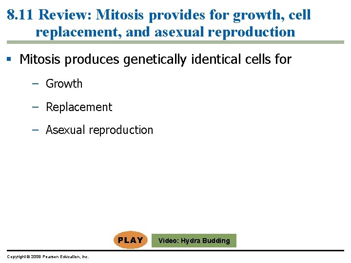 8. 11 Review: Mitosis provides for growth, cell replacement, and asexual reproduction § Mitosis