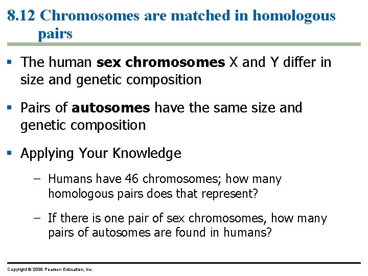 8. 12 Chromosomes are matched in homologous pairs § The human sex chromosomes X