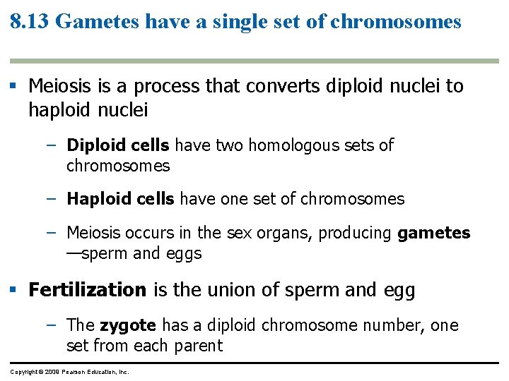 8. 13 Gametes have a single set of chromosomes § Meiosis is a process