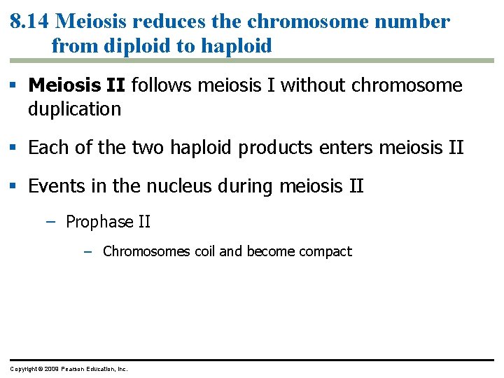 8. 14 Meiosis reduces the chromosome number from diploid to haploid § Meiosis II