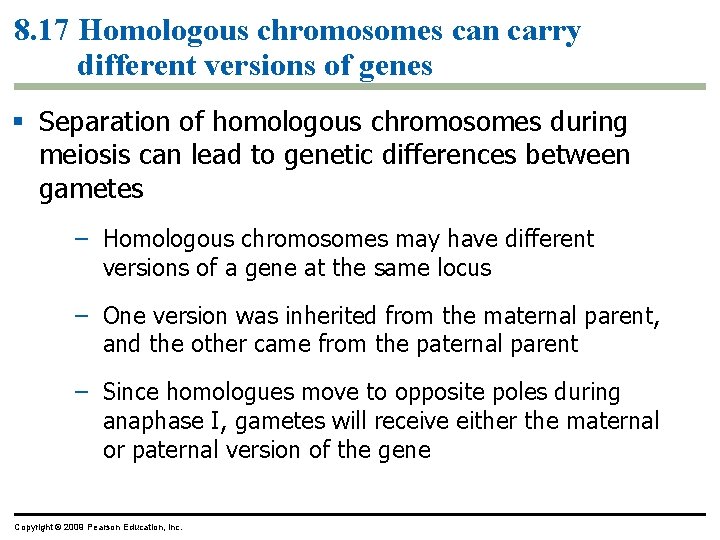 8. 17 Homologous chromosomes can carry different versions of genes § Separation of homologous
