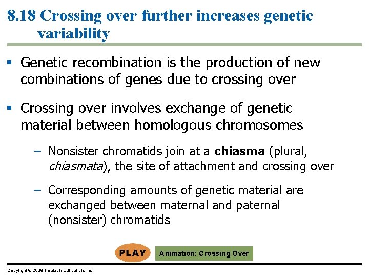 8. 18 Crossing over further increases genetic variability § Genetic recombination is the production