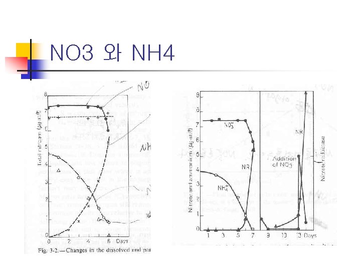 NO 3 와 NH 4 